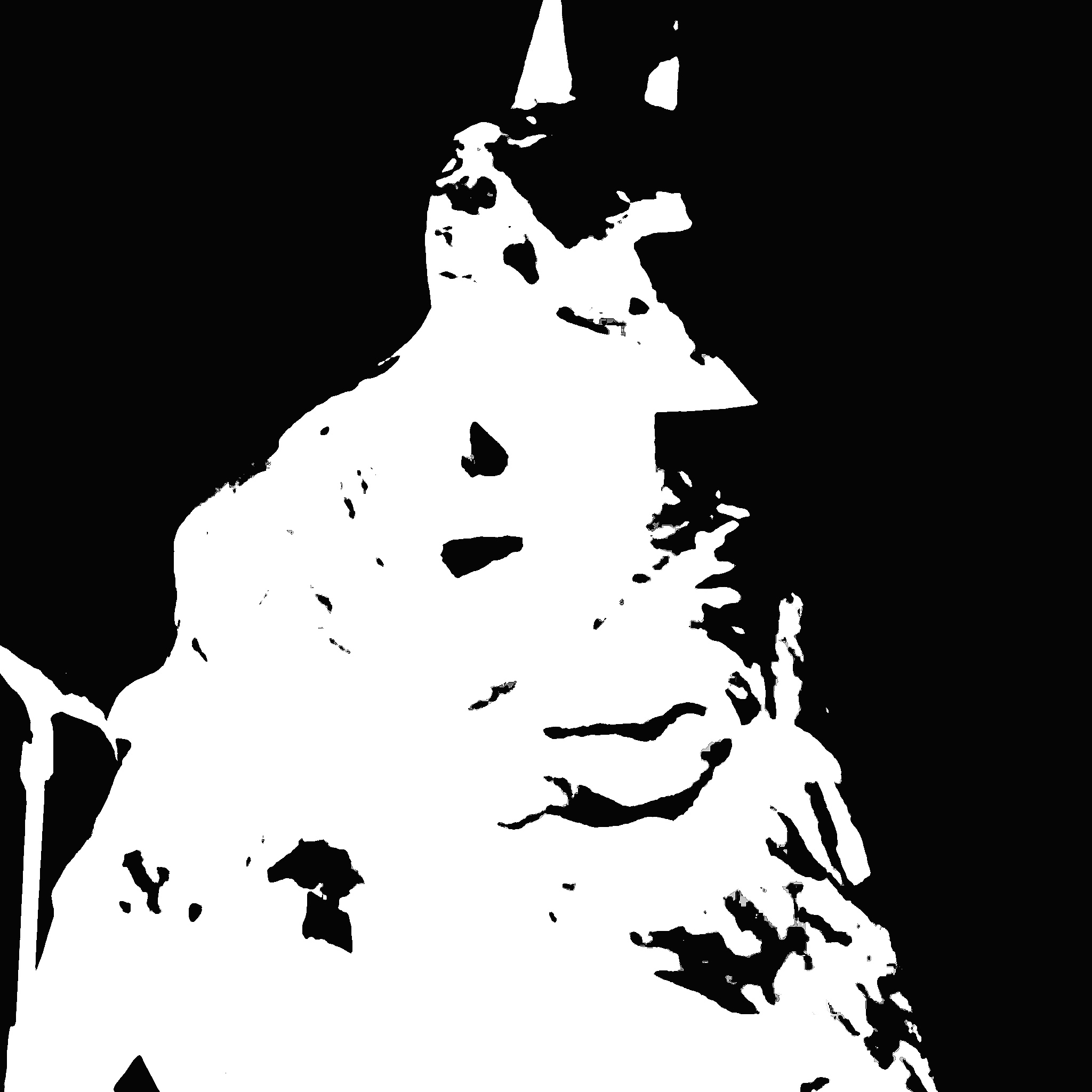 Image centrale